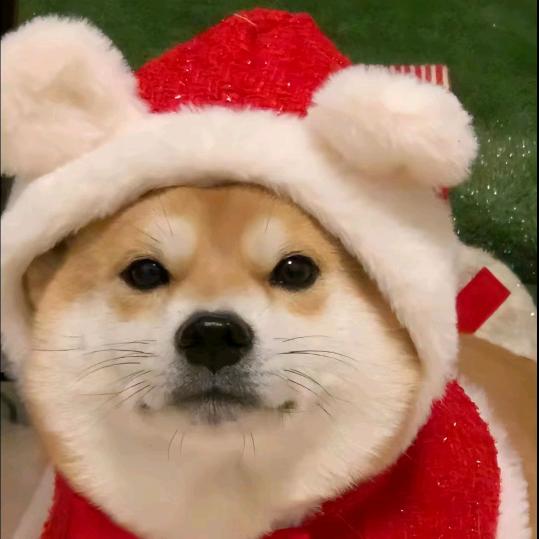 哈哈哈哈哈哈哈哈