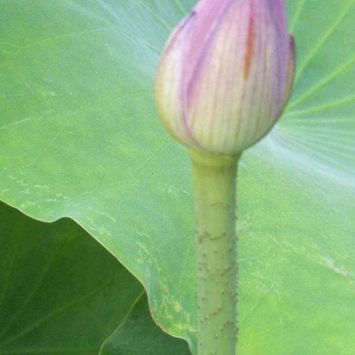 金汤拾真