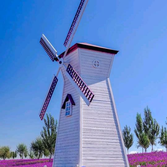 60后 又来啃地球了