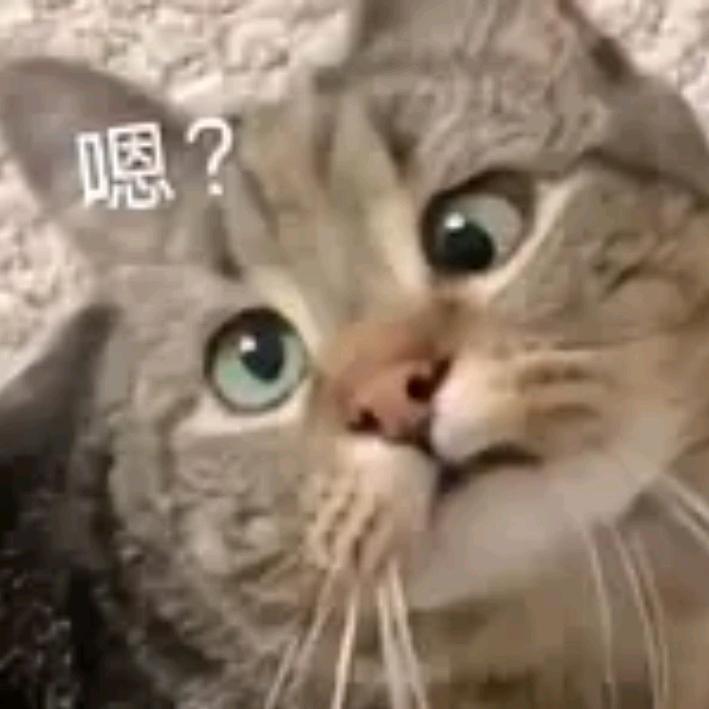 没菜下饭了