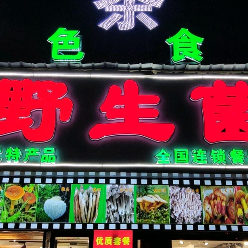 寻真爱永恒