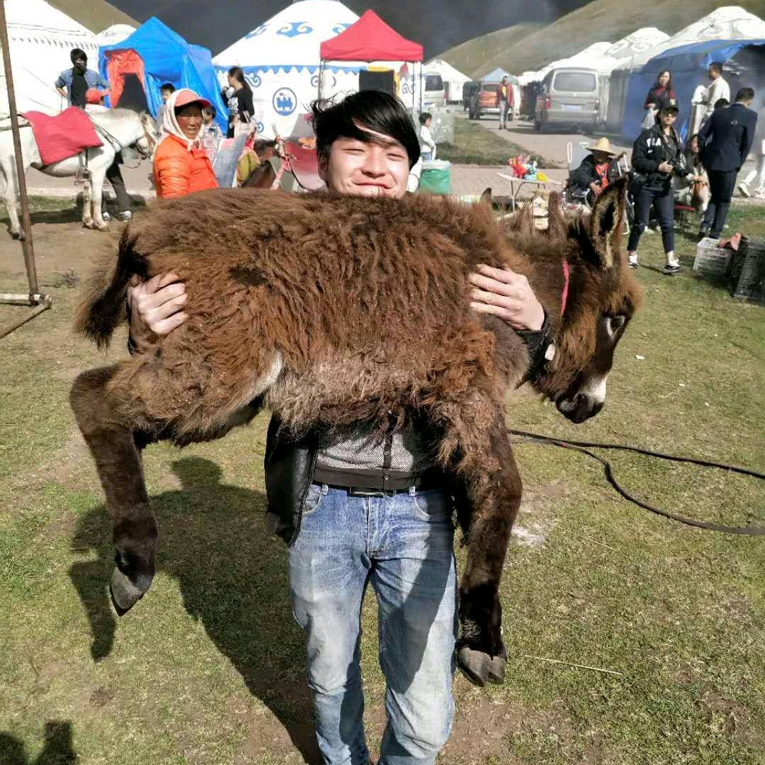 会泽装灯小哥