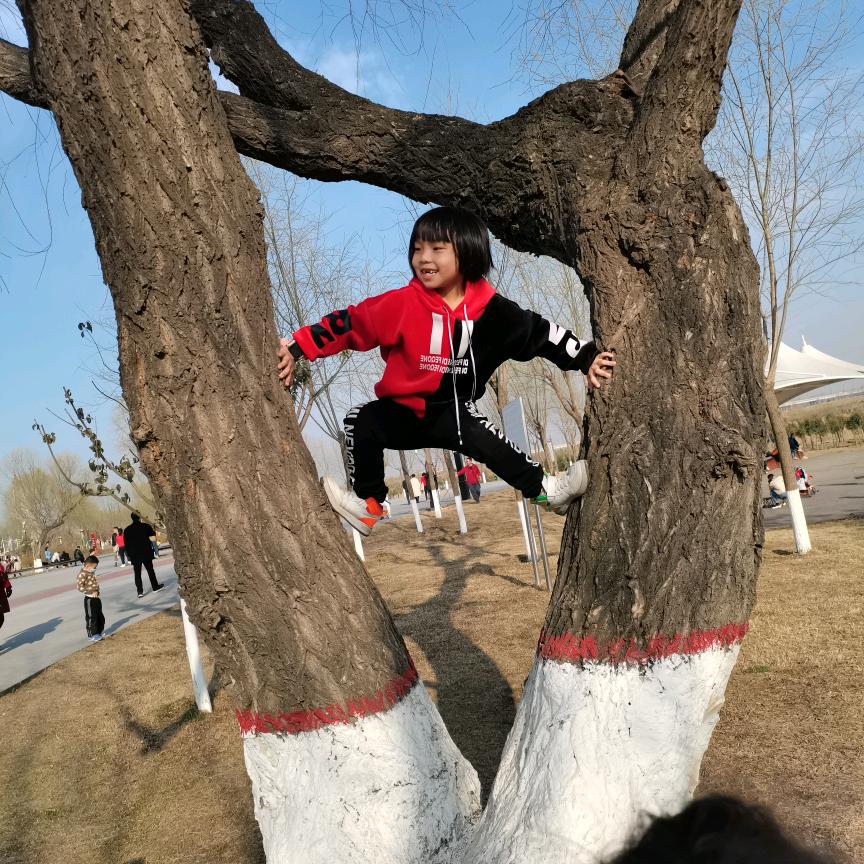 妮