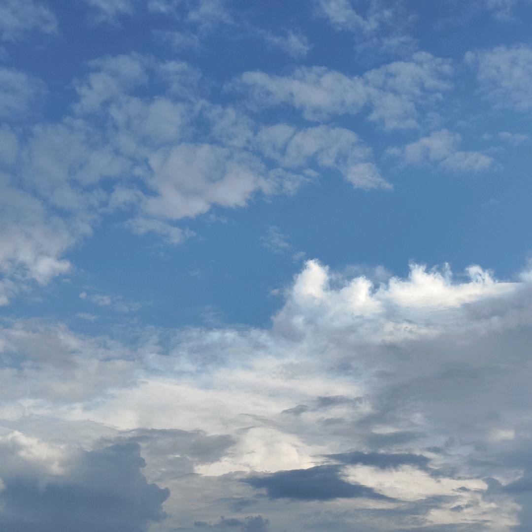 一条🌊有🐟