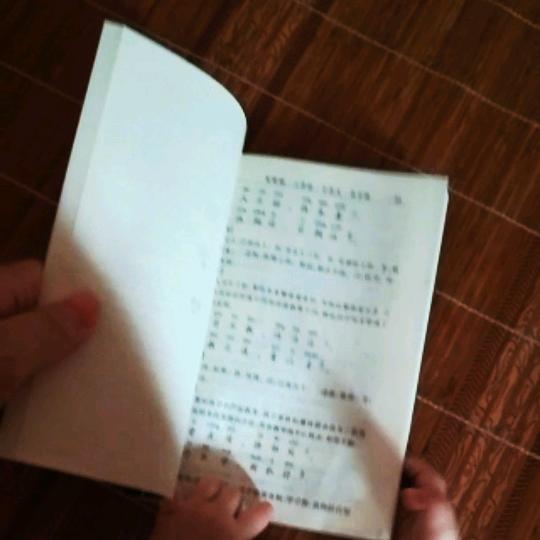 泡菜宝宝