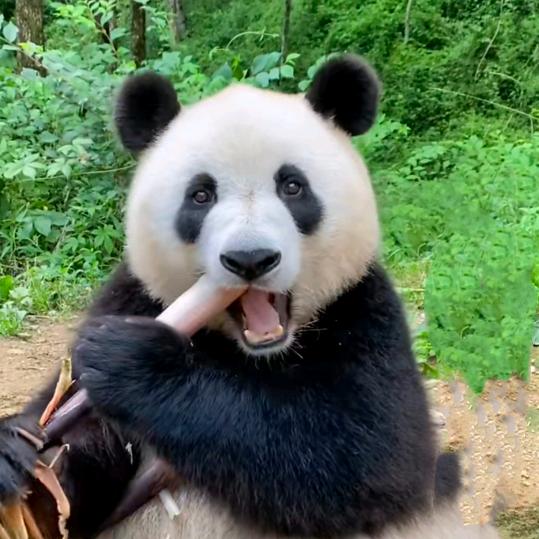 顺风顺水综合农场