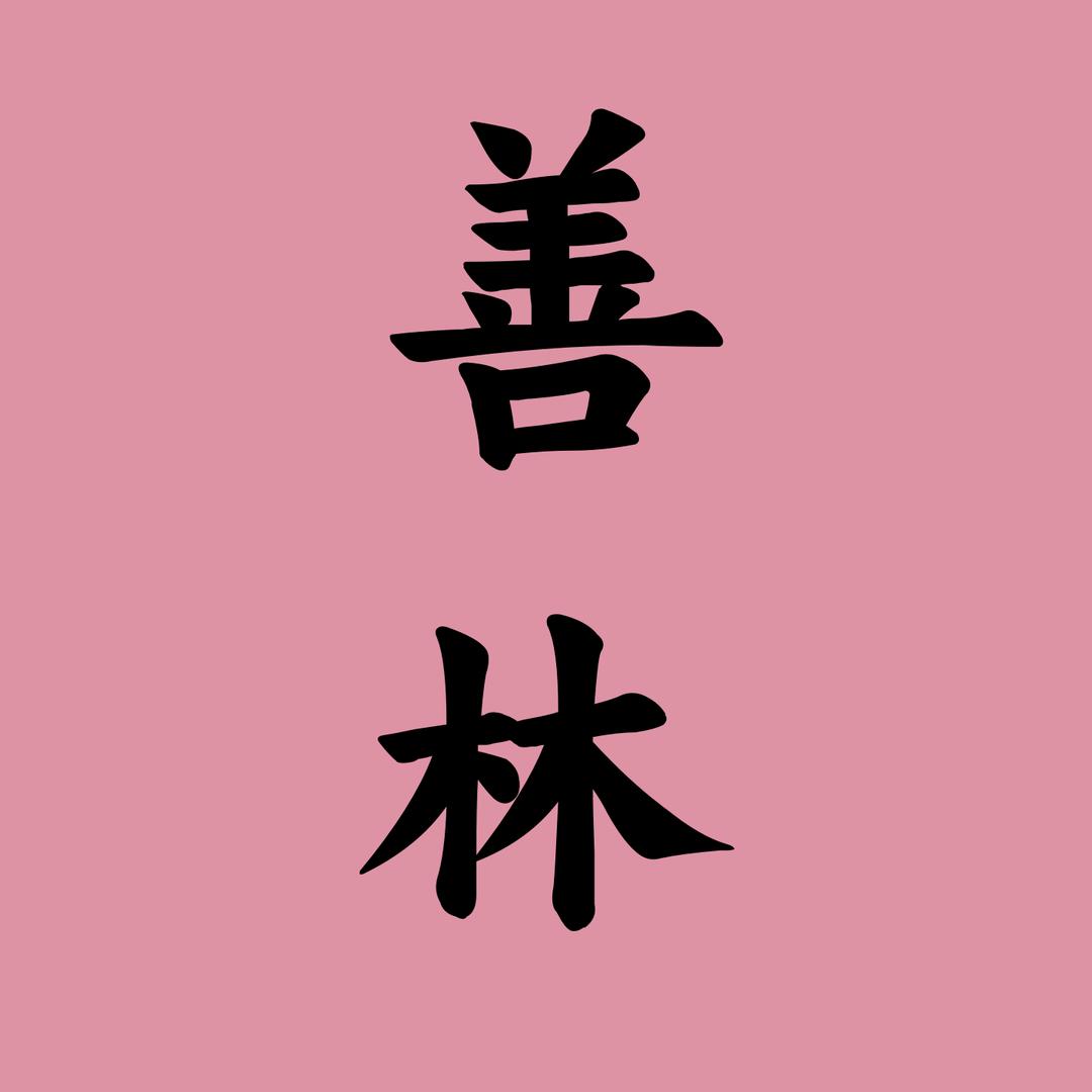 善林取名阁