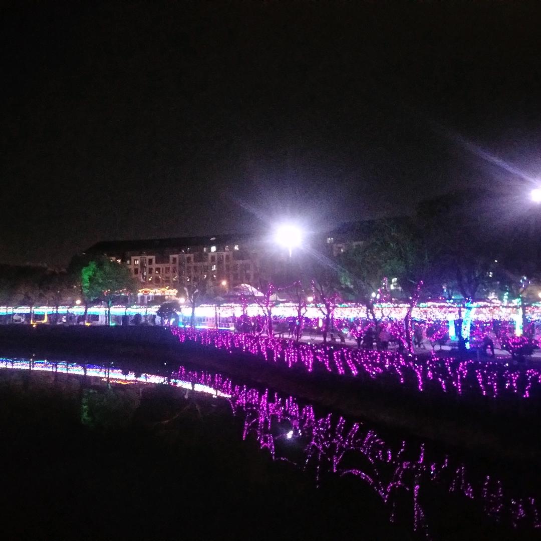 小ฅ>ω屁<*ฅ孩