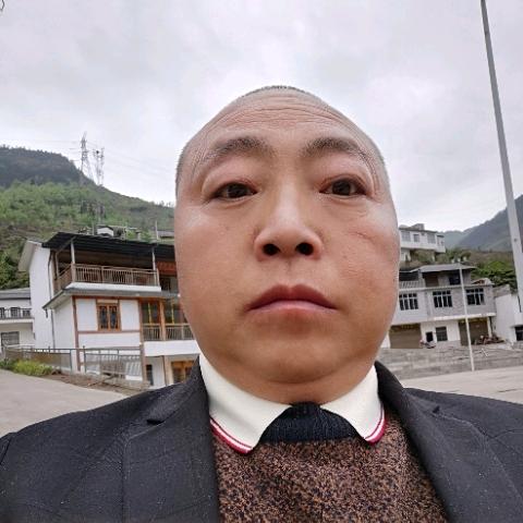 陶哥