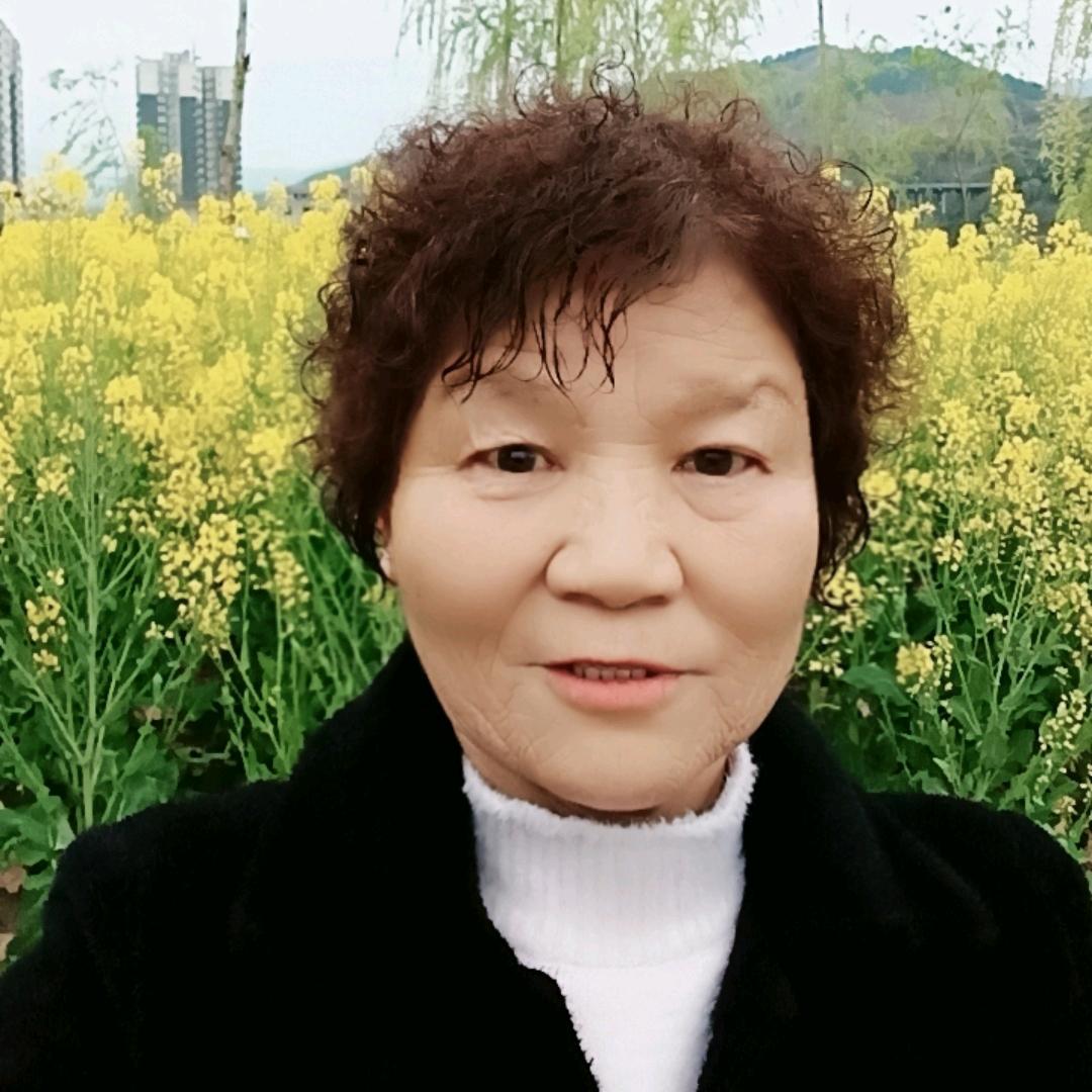 龙姐