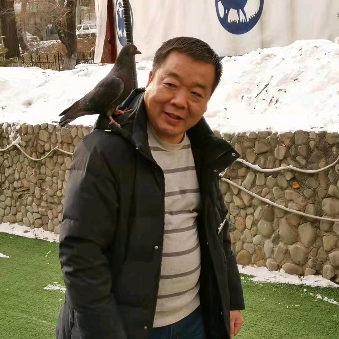 陈年艾  灸健康