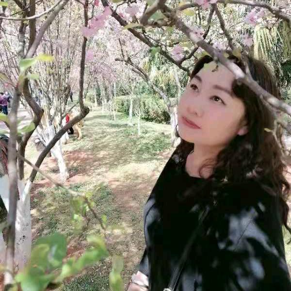 追月