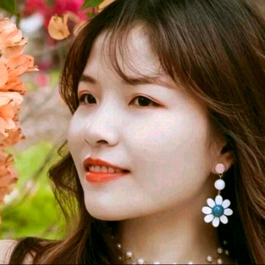 🎄🌹🌷🍁