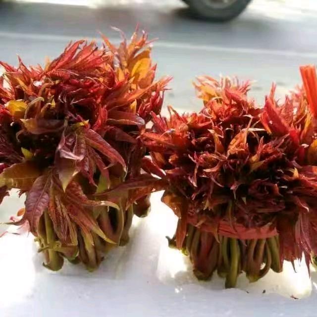 禾生源农场