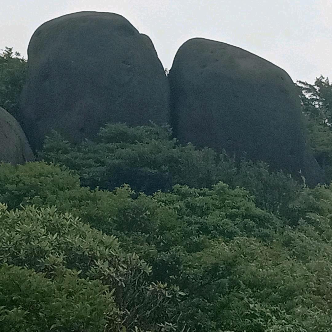 阳光大道