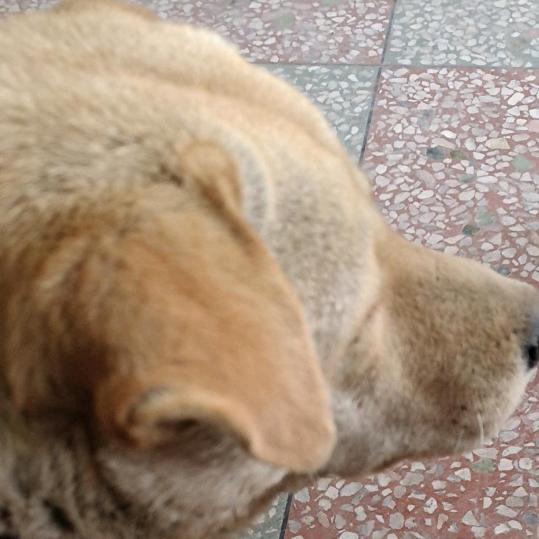 迁就你一生6724