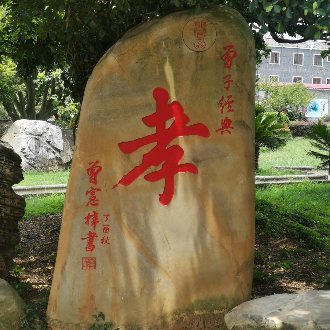小蜜唐