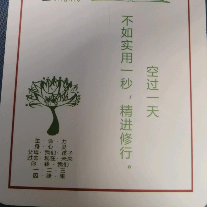 大树来了