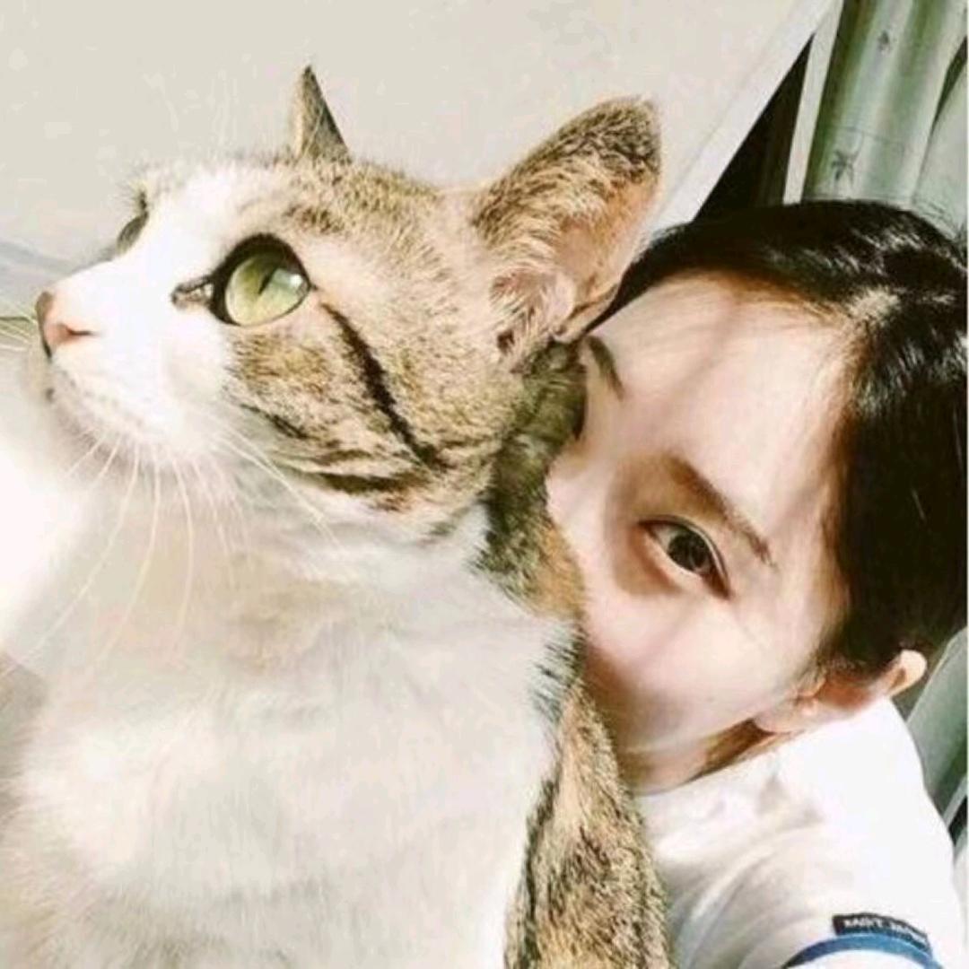 美喵的美妙生活
