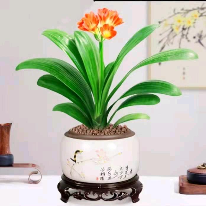 平平淡淡才是真