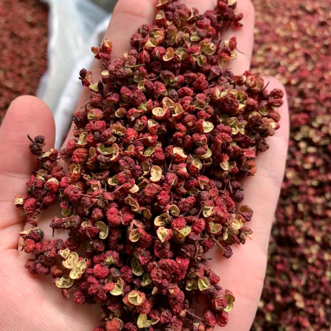 行走的太阳☀️