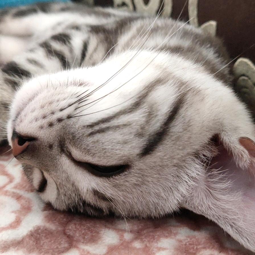 你温柔体贴善解人意的花姐姐