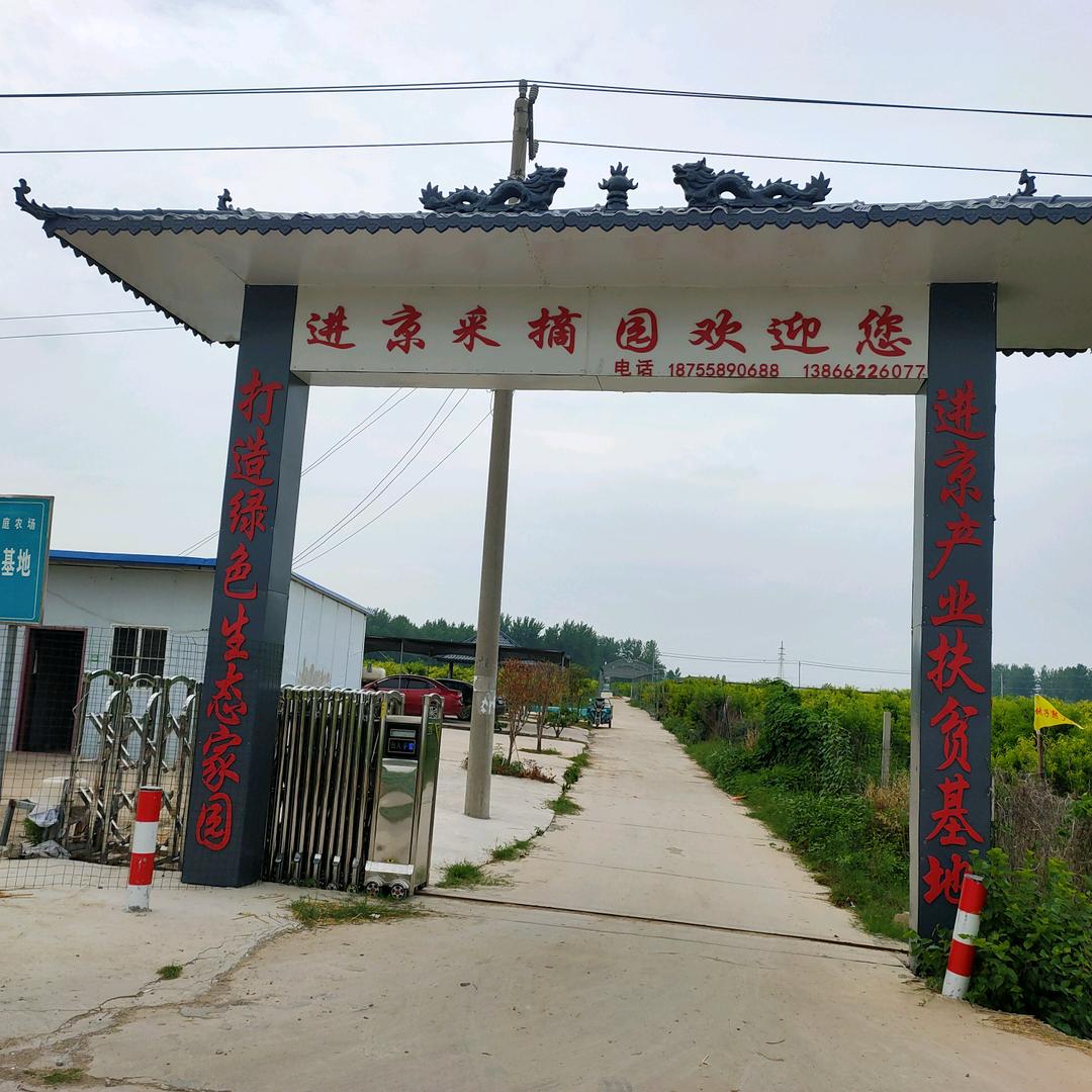 ⚡界首市进京家庭农场