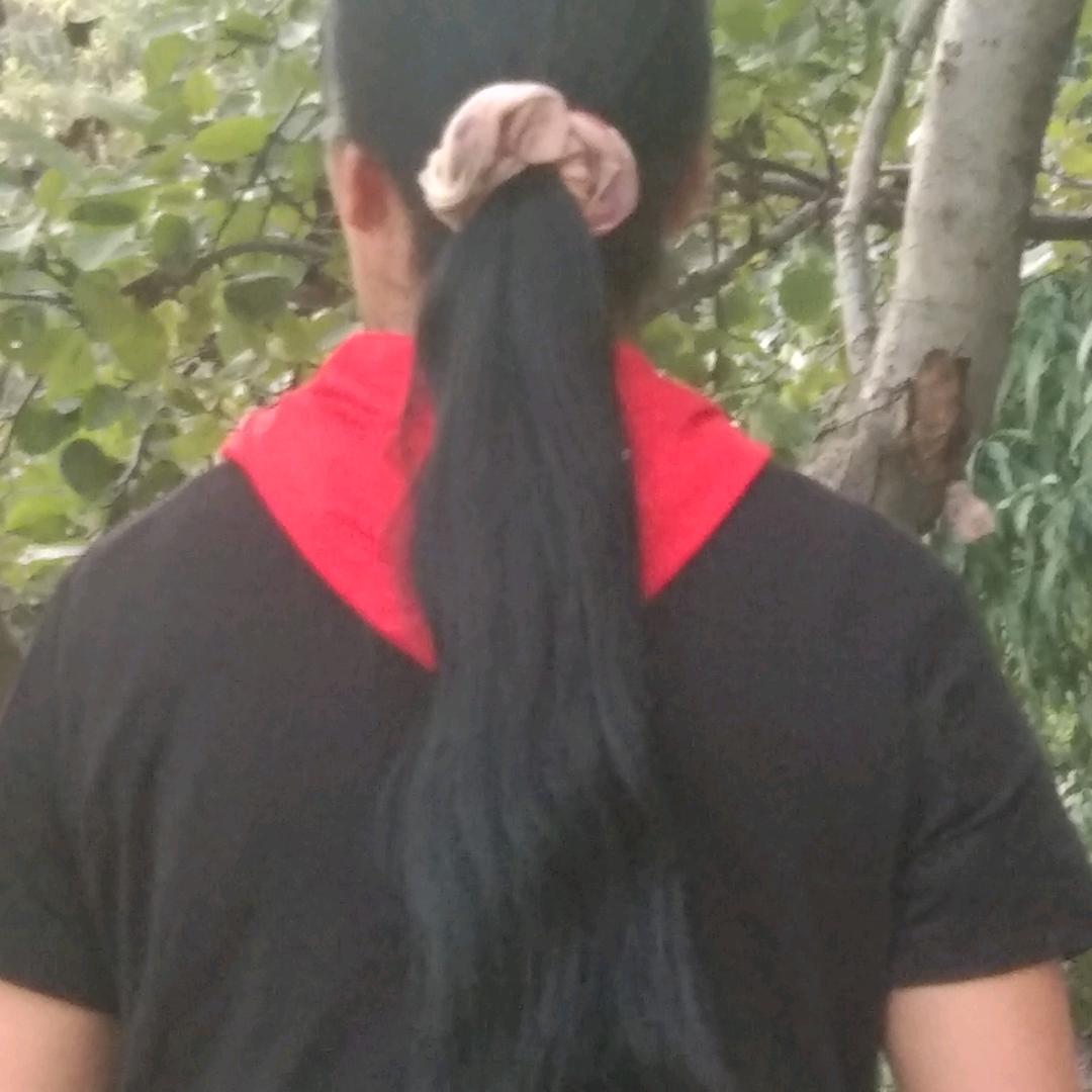 风寻风寻