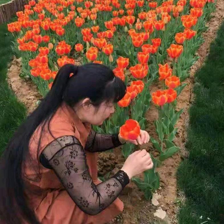 管建华