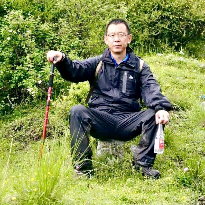 向西向西