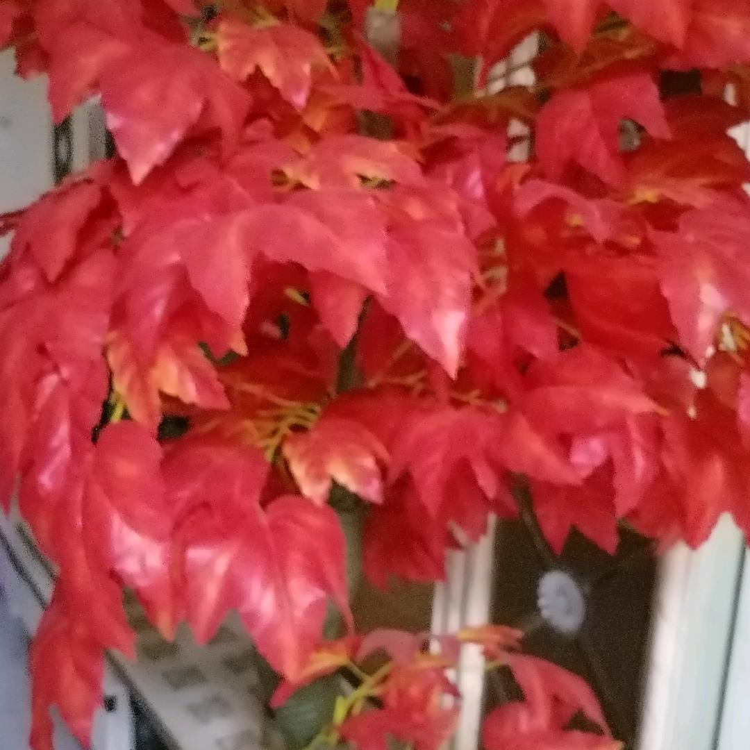 万州装修找张姐