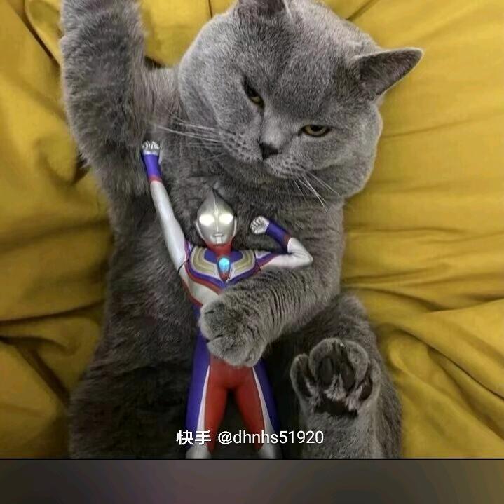 搞笑哥3（拒绝私聊）