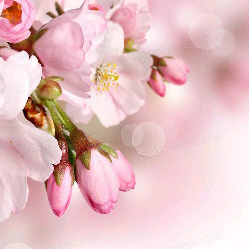 天马行空的阿楠