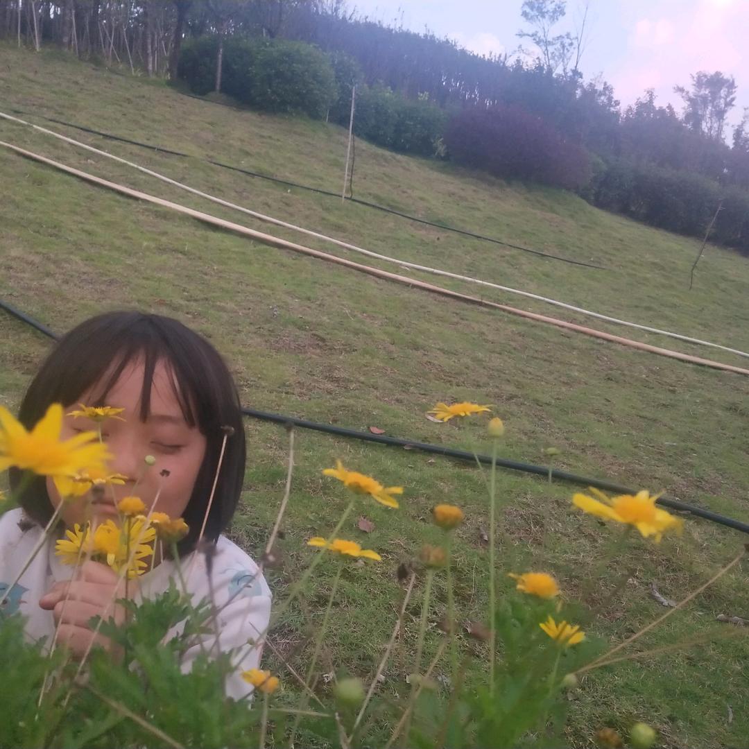 爱永不坠落人生苦短 张 《拒绝私连赞拉黑