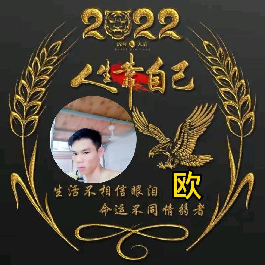 网后鱼生