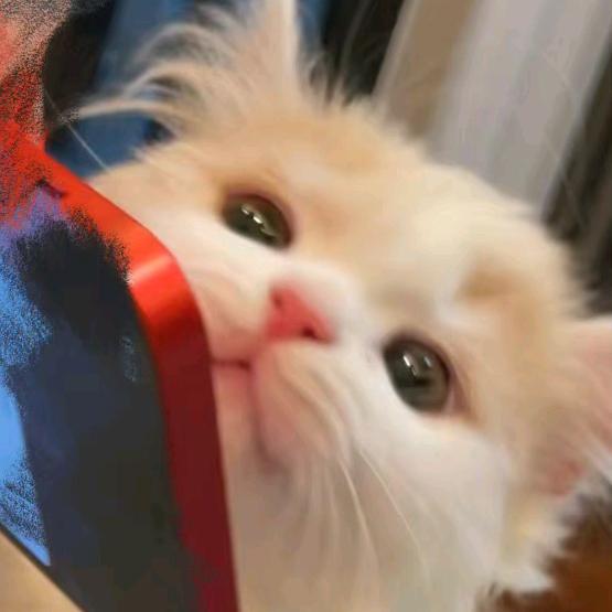 我想不开了