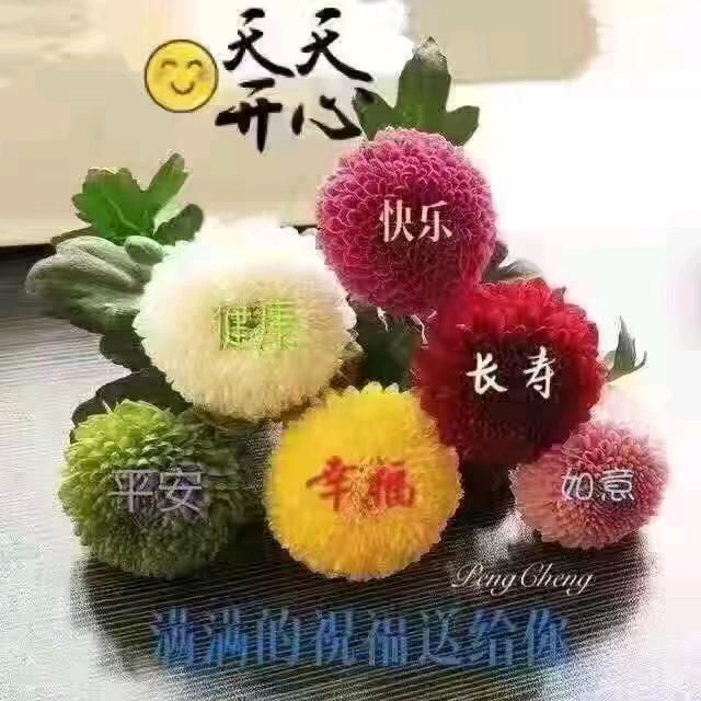 念念不忘