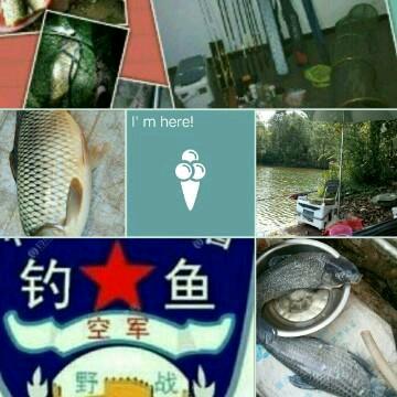 殇与殇
