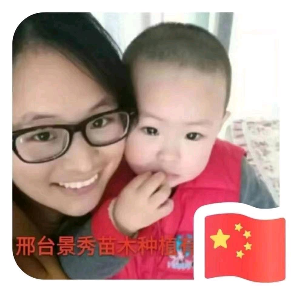邢台威县绿化-任桃媛