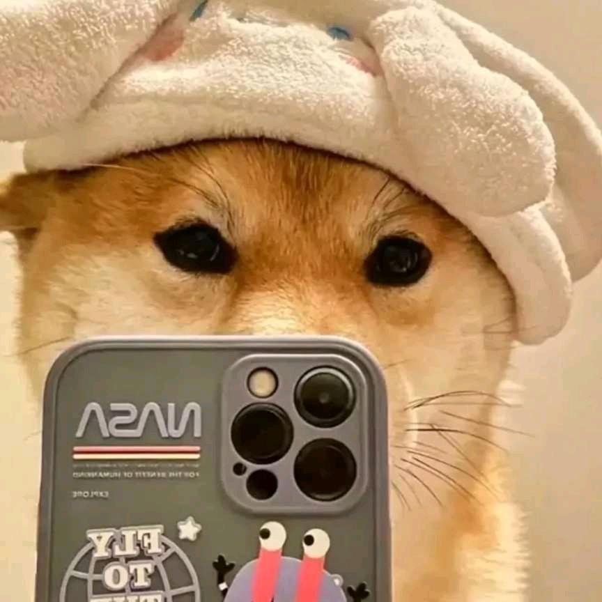 ，。。。。。
