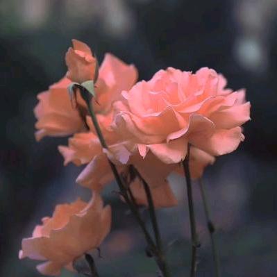 人见人爱自信大方技能满点的成功人士