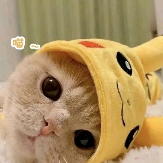 幼稚园❤️萌宝