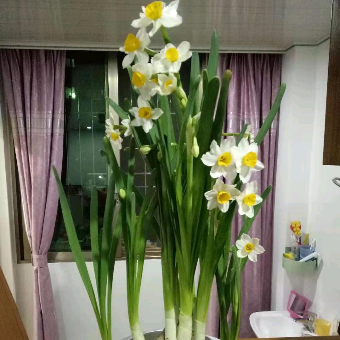 晓