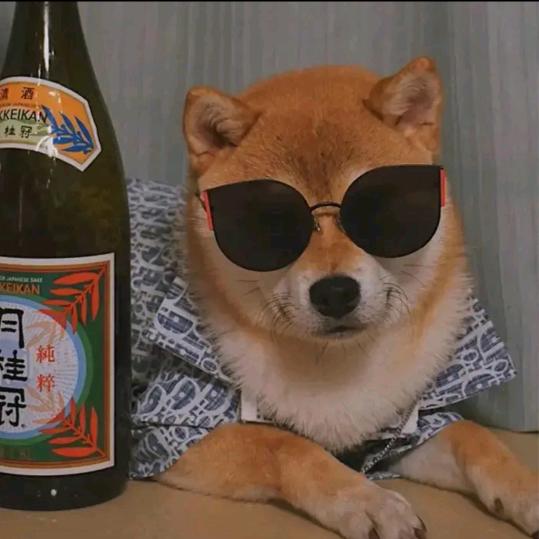 不到120不改名（重启版）