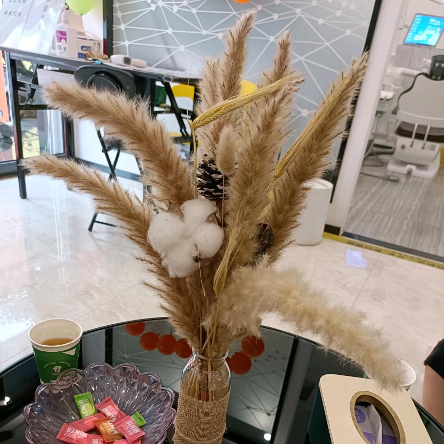吃瓜🍉群众