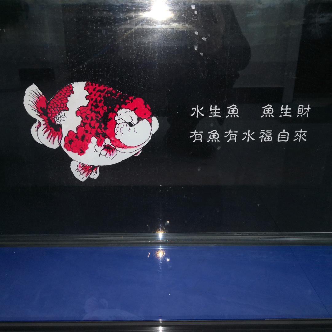 🌈爱养鱼的电梯人🌈
