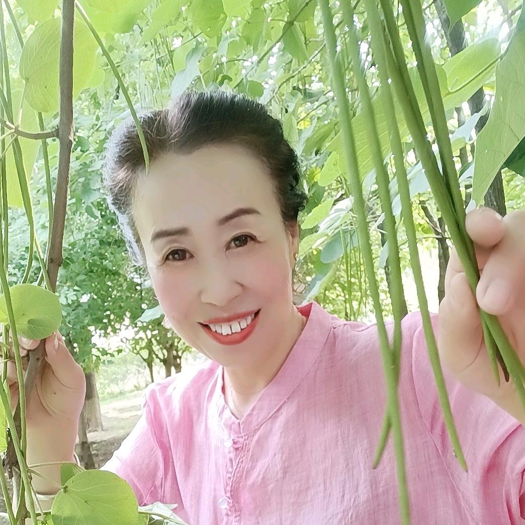 燕子
