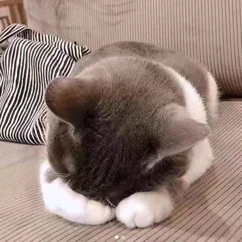 命运之轮