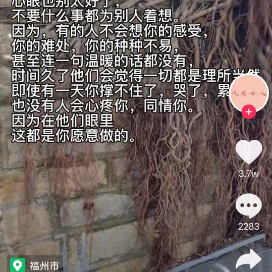 开心果