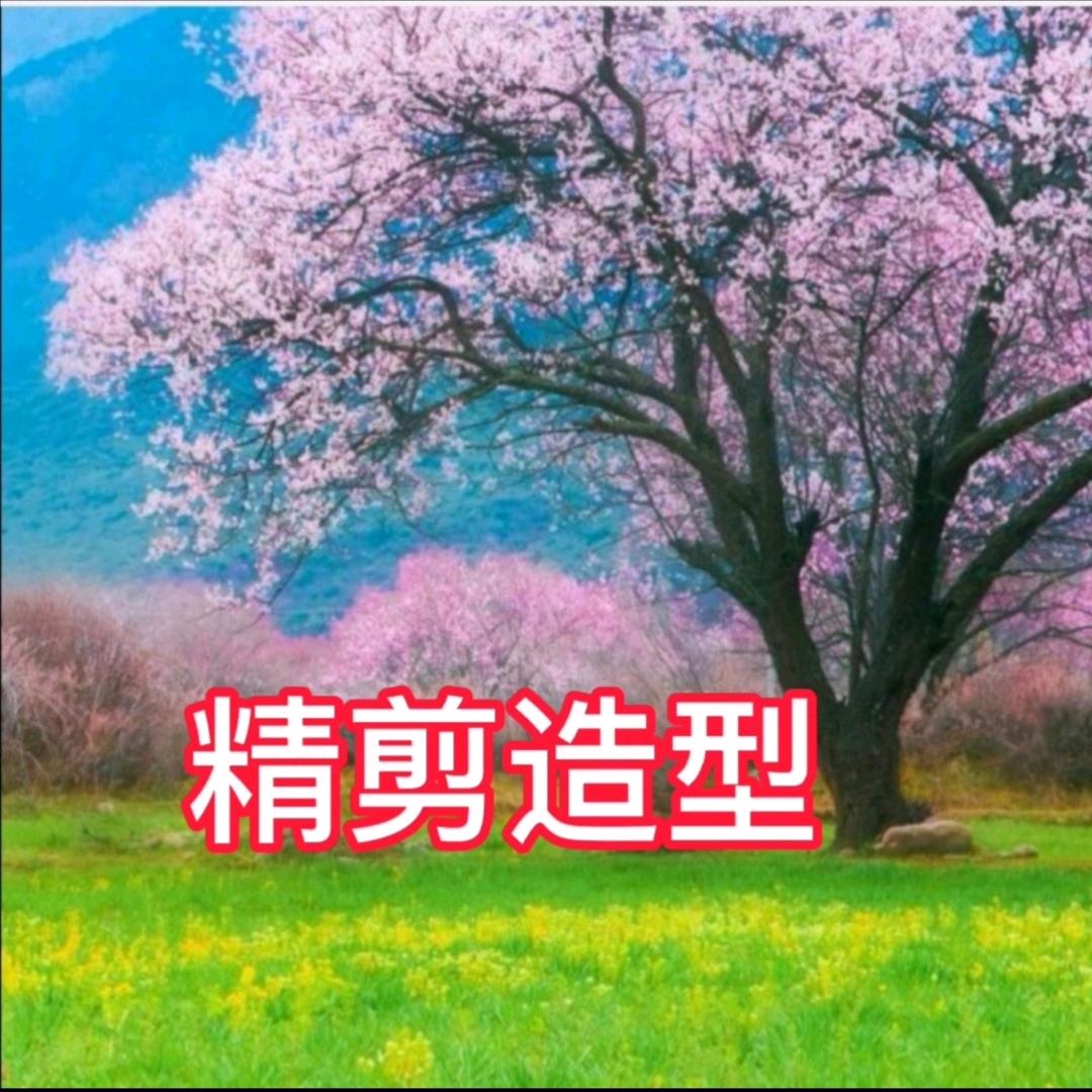 精剪造型：